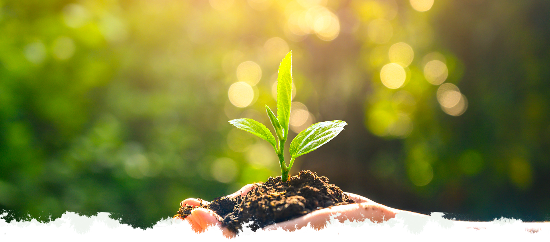 welcome-ATM����