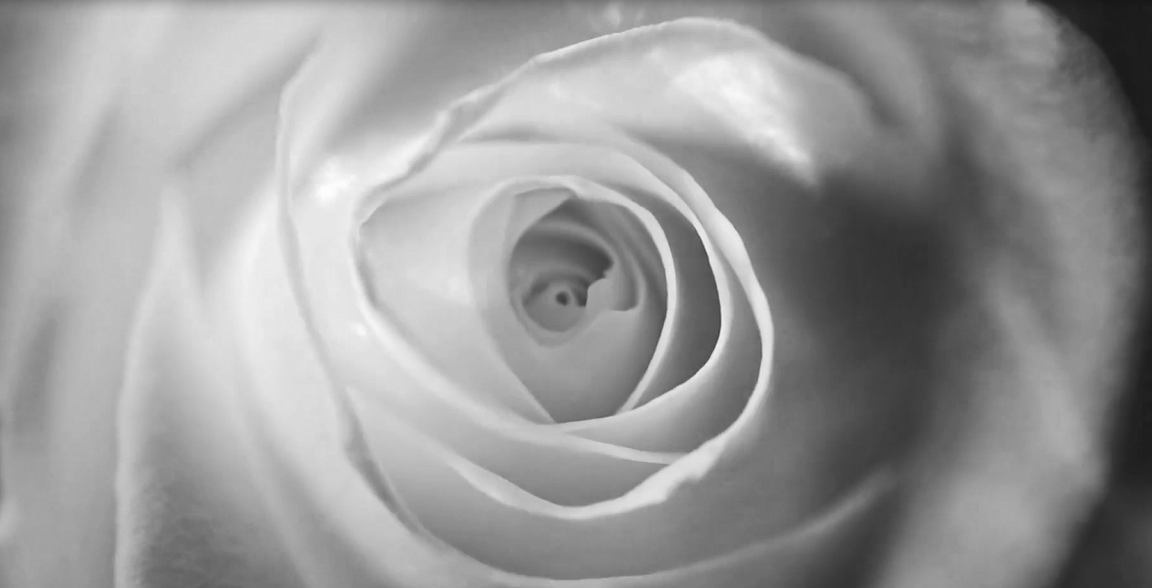 welcome-ATM����